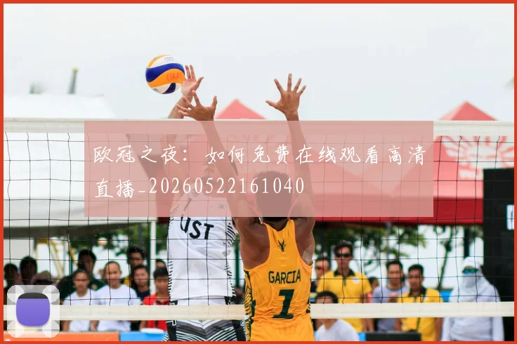欧冠之夜:如何免费在线观看高清直播_20260522161040